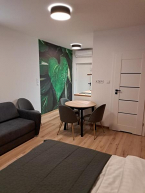 Apartamenty Zielony Liść